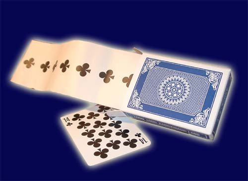 Pip Strip v. Ton Onosaka