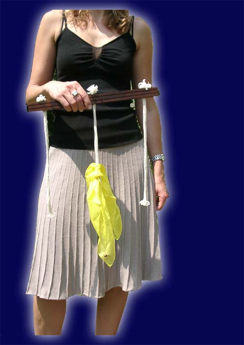 Affenschaukel – Monkey Bar, ZZM Version