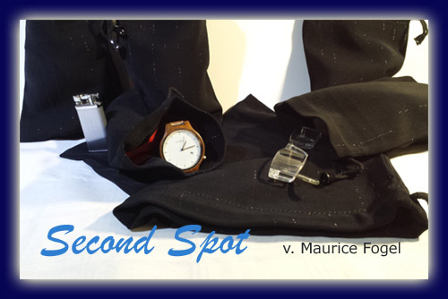 Second Spot v. Maurice Fogel, (Ken Brooke) Second Spot v. Maurice Fogel, (Ken Brooke)