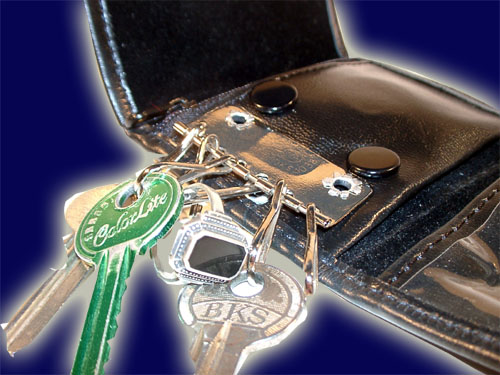 Ring Flight Ring Flight