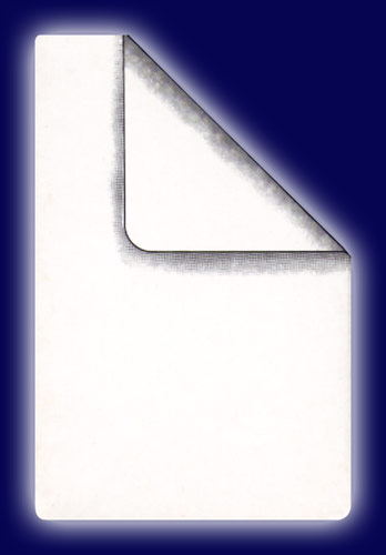 Bicycle Doppelblankokarten Bicycle Doppelblankokarten